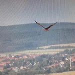 Kniep Vendégház