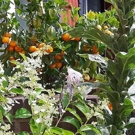 بيت ضيافة Kniep